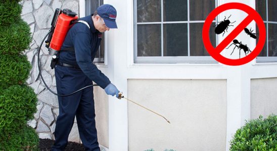 Beyşehir Akrep İlaçlama böcek ilaçlama ve haşere kontrolü — ilaclama-tr.com